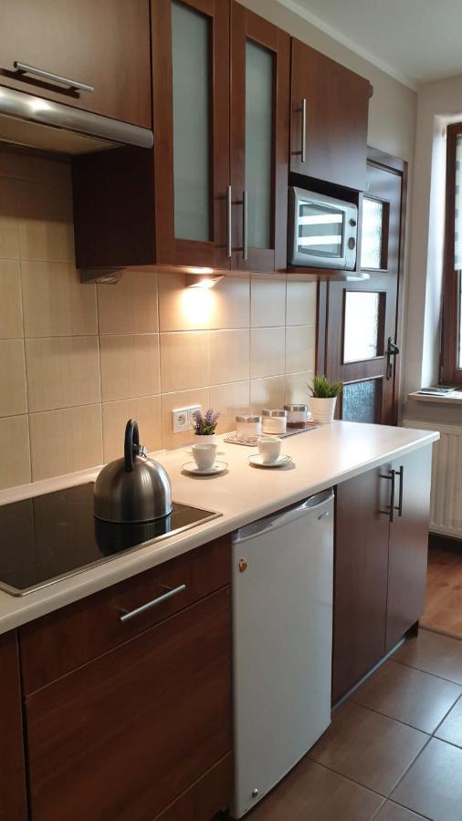 Kaizen Apartament Krynica-Zdrój Extérieur photo